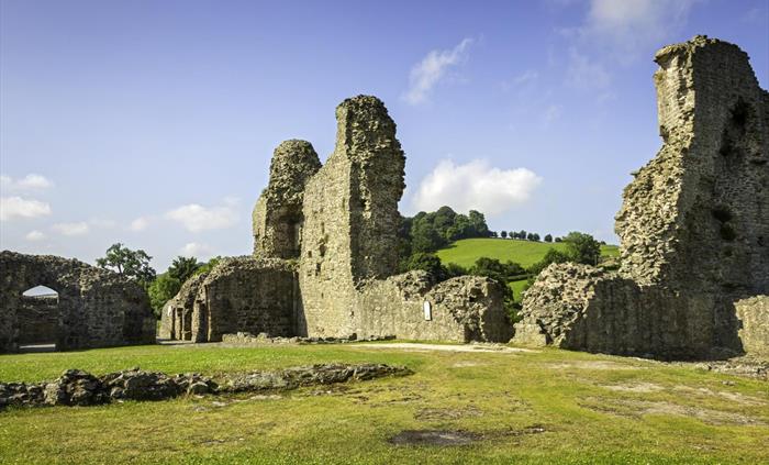 Montgomery Castle